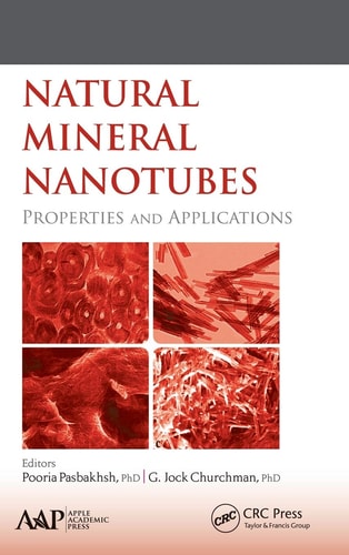 Natural mineral nanotubes : properties and applications