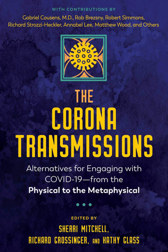 The Corona Transmissions Alternatives for Engaging with COVID-19—from the Physical to the Metaphysical