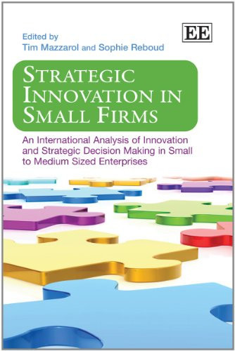 Strategic Innovation in Small Firms An International Analysis of Innovation and Strategic Decision Making in Small to Medium Sized Enterprises