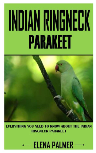 Indian Ringneck Parakeet Everything You Need To Know About the Indian Ringneck Parakeet