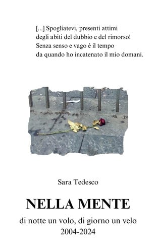 Nella Mente - di notte un volo, di giorno un velo