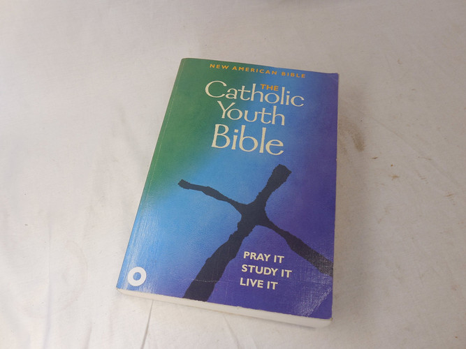 Catholic Youth Bible New American Bible Translation