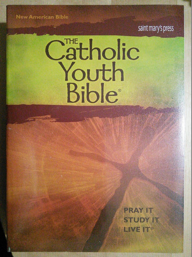 The Catholic Youth Bible New American Bible, Including the Revised Psalms and the Revised New Testament : Translated from the Original Languages with Critical Use of All the Ancient Sources