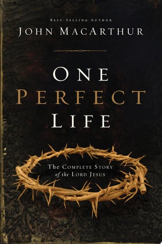 One Perfect Life The Complete Story of the Lord Jesus
