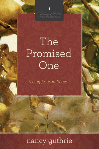 The Promised One Seeing Jesus in Genesis (a 10-Week Bible Study)