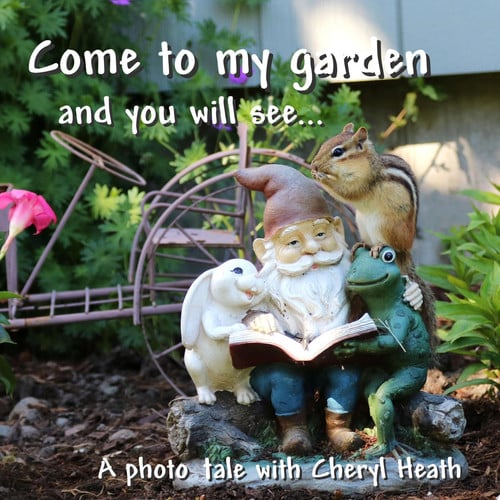Cover of Come to My Garden and You Will See...