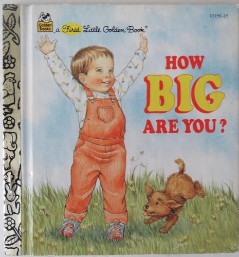 Cover of How to Think Bigger
