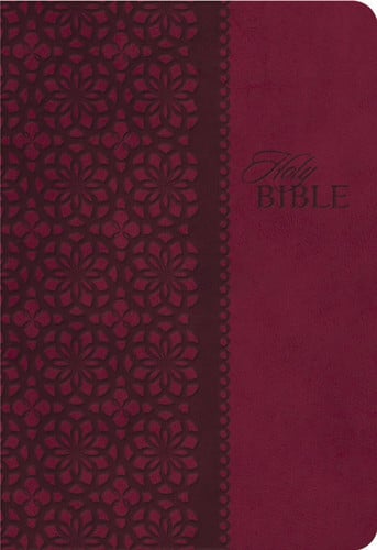 King James Study Bible