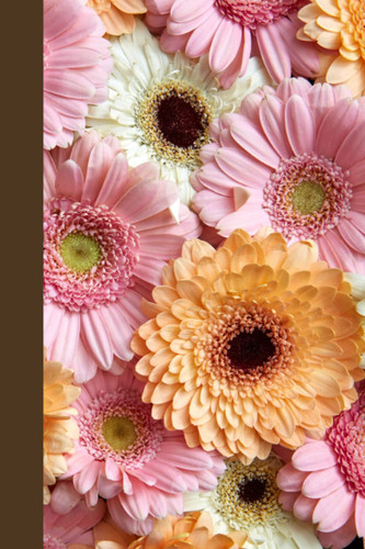 Notebook | Lined Paperback Journal | 6 x 9 Inches | 120 Pages | Colorful Flowers | Floral | Daisy