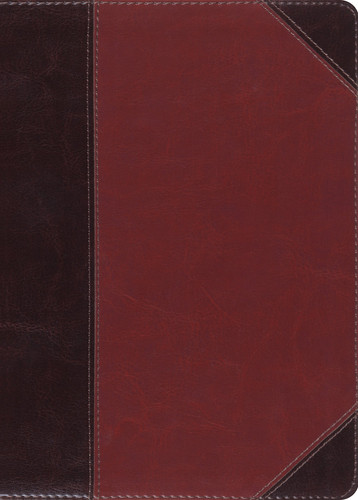 ESV MacArthur Study Bible (TruTone, Brown/Cordovan, Portfolio Design)