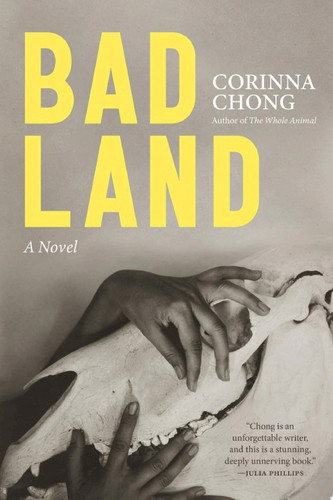 Bad Land