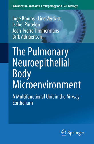 The Pulmonary Neuroepithelial Body Microenvironment A Multifunctional Unit in the Airway Epithelium