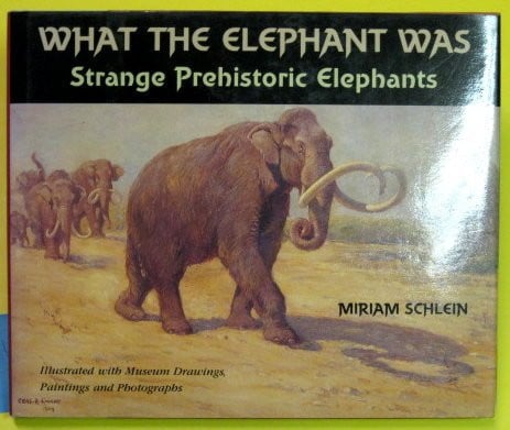 Cover of What the elephant was