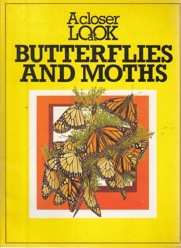 Cover of A closer look at butterflies and moths