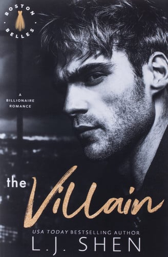 The Villain A Billionaire Romance