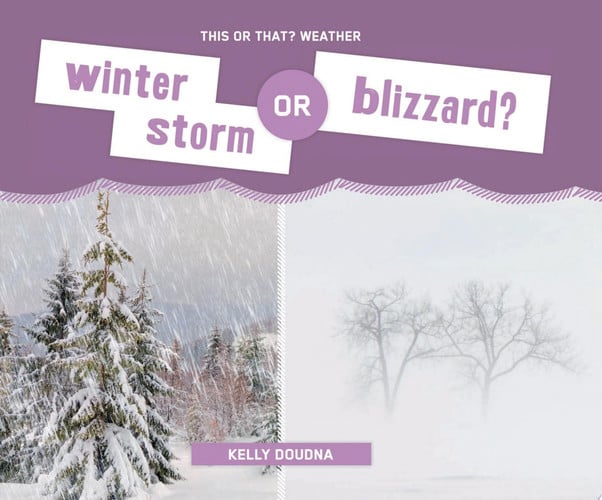 Cover of Winter Storm or Blizzard?