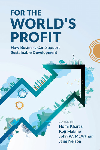 For the World’s Profit How Business Can Support Sustainable Development