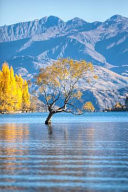 Lake Wanaka New Zealand 150 Page Lined Notebook/Diary