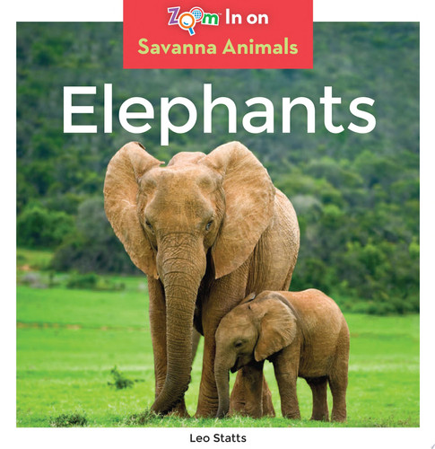 Cover of Elephants
