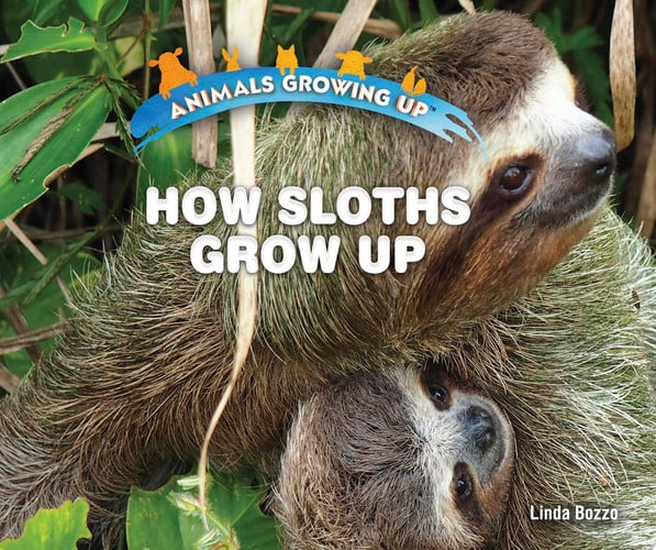 Cover of How Sloths Grow Up