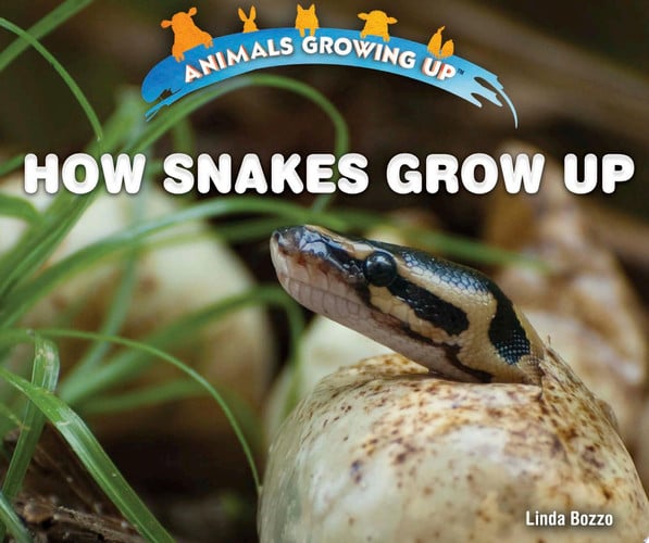 Cover of How Snakes Grow Up