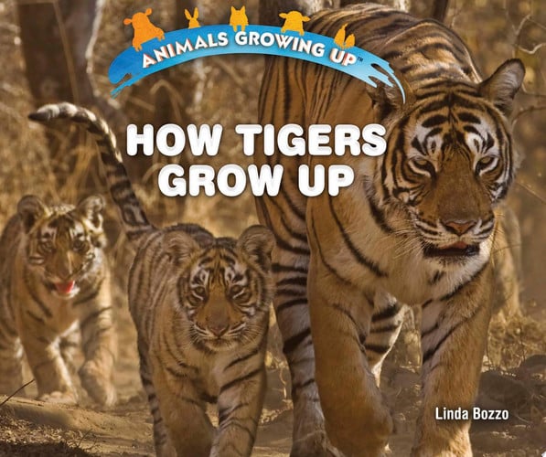 Cover of How Tigers Grow Up