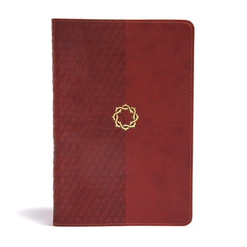 Essential Teen Study Bible