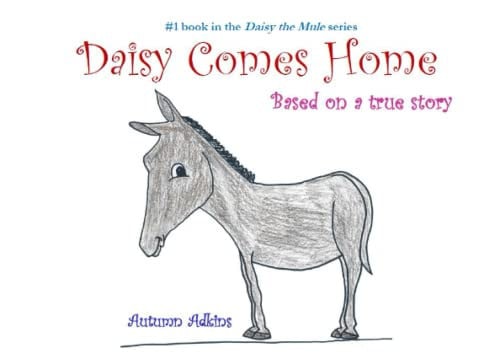 Cover of Daisy Comes Home