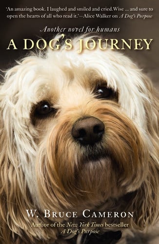 A Dog's Journey