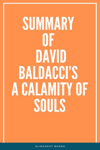 Summary of David Baldacci's A Calamity of Souls