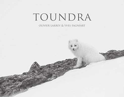 Nord Toundra stopovers around the North Pole