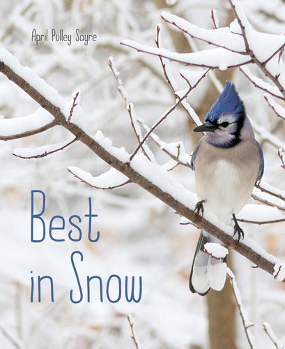 Cover of Best in Snow