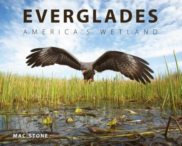 Everglades America's Wetland