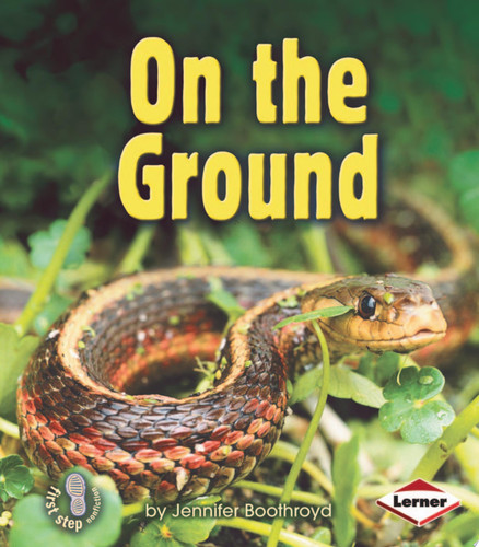 Cover of On the Ground