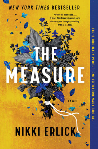 The Measure A Novel