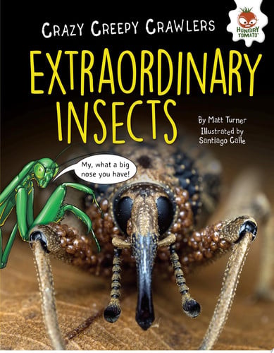 Cover of Extraordinary Insects