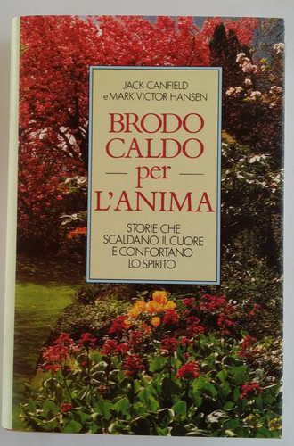 Brodo caldo per l'anima. Storie che scaldano il cuore e confortano lo spirito