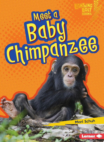 Cover of Meet a Baby Chimpanzee