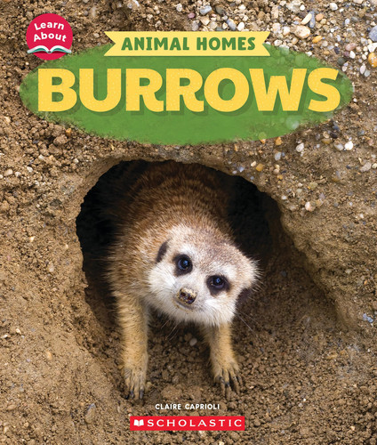 Cover of Burrows (Learn about: Animal Homes)