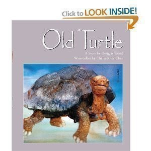 Cover of Old Turtle