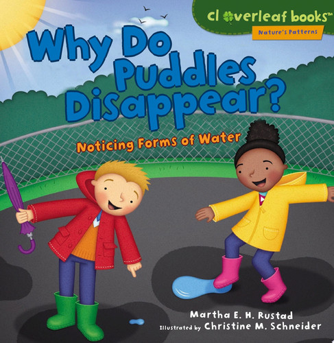 Cover of Why Do Puddles Disappear?