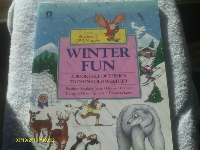 Cover of Winter fun