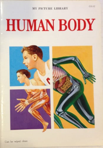Cover of My Picture Library of the Human Body