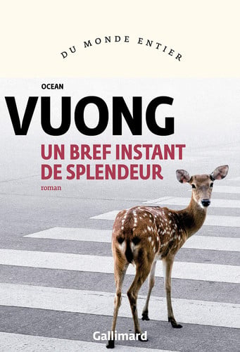 Un bref instant de splendeur : roman - Ocean Vuong