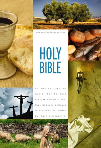 Holy Bible New International Version, Textbook Edition