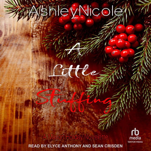 A Little Stuffing (The Mason Family Saga) (Mason Family Saga, 4)