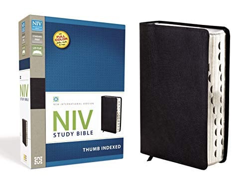 NIV Study Bible