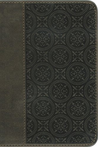 Holy Bible