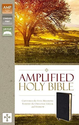 Amplified Holy Bible Captures the Full Meaning Behind the Original Greek and Hebrew