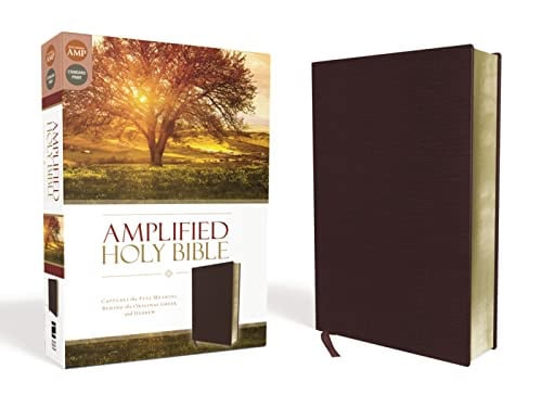 Amplified Holy Bible Captures the Full Meaning Behind the Original Greek and Hebrew [Burgundy]
